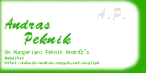 andras peknik business card